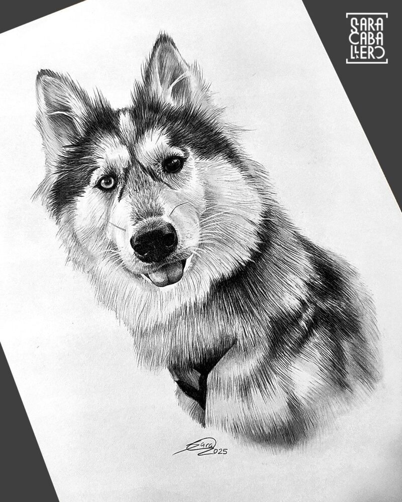 <strong>Retrato mascota,</strong> 2025.