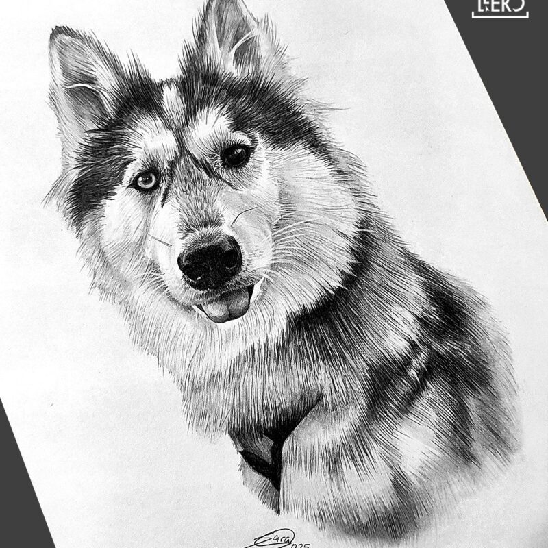 <strong>Retrato mascota,</strong> 2025.